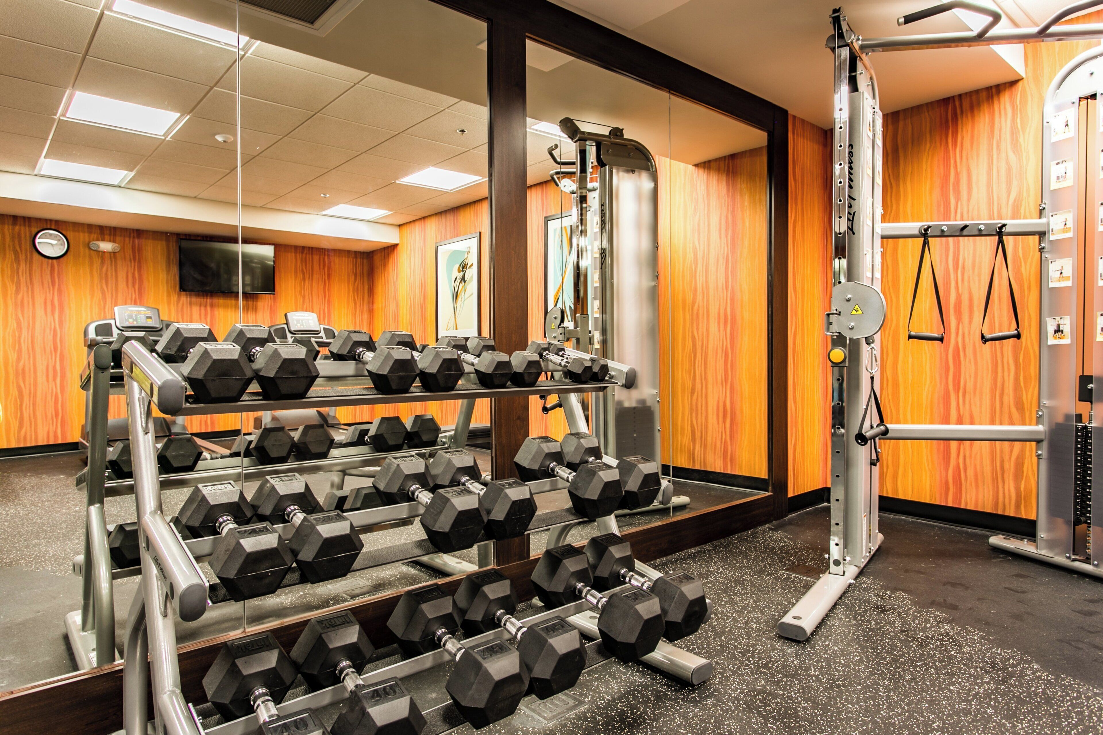 A gym with a rack of dumbbells, a weight bench, and a mirror.