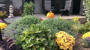 Un jardin avec différentes sortes de plantes et une grosse citrouille. On aperçoit des chaises et un bâtiment au fond.