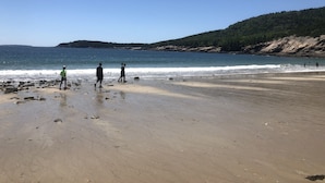 Une plage au rivage rocheux, avec une colline boisée en arrière-plan.