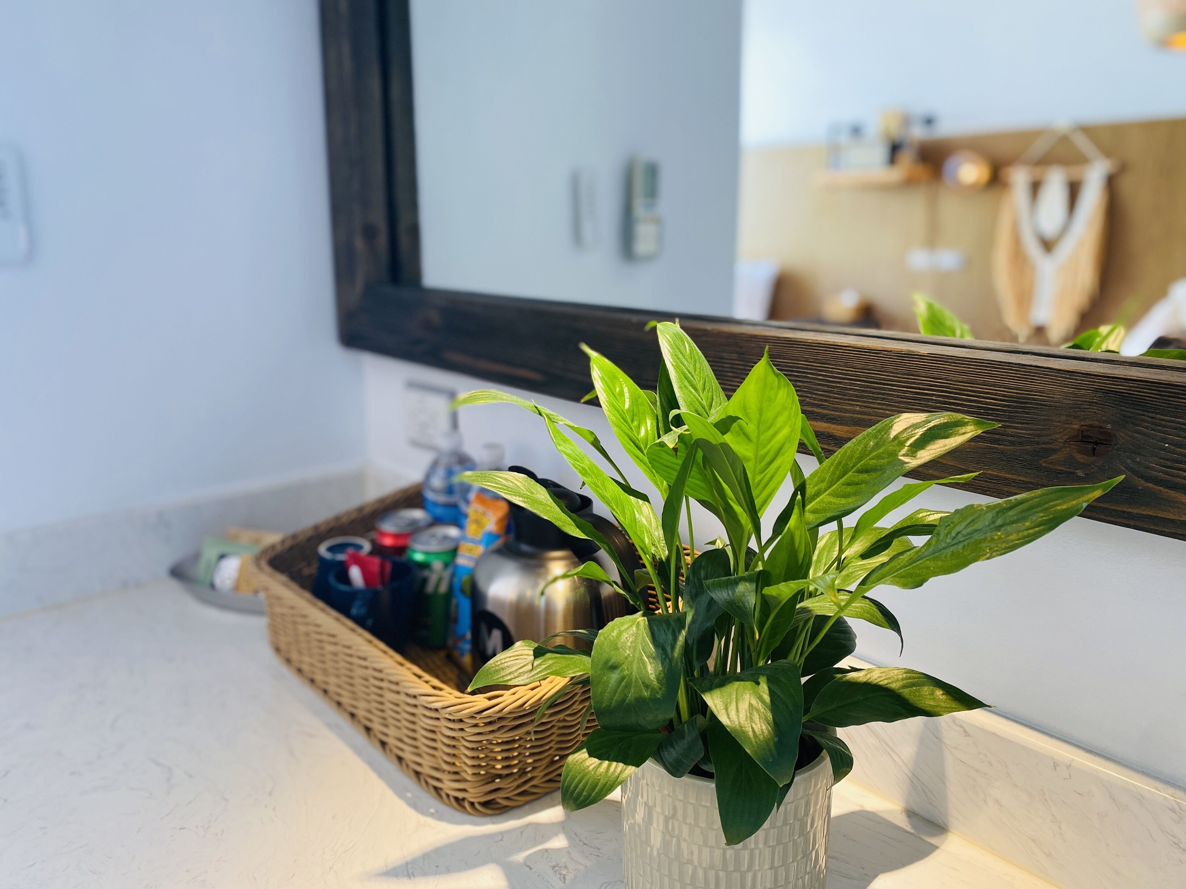 A bathroom with a white marble countertop, a potted plant, a wicker basket with toiletries, and a mirror reflecting the room.