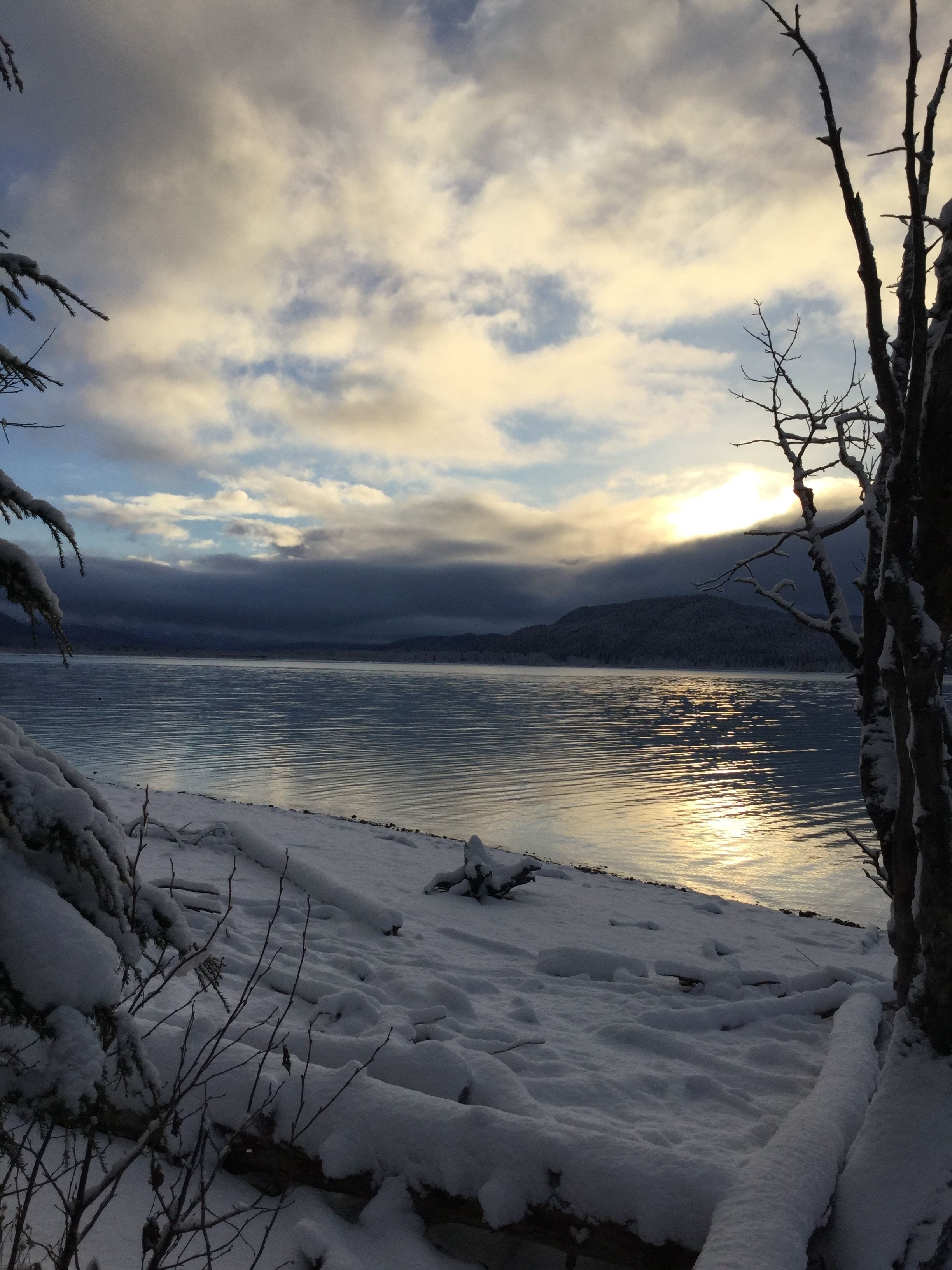 A serene lakeside view with snow-covered ground and bare trees, under a cloudy sky.