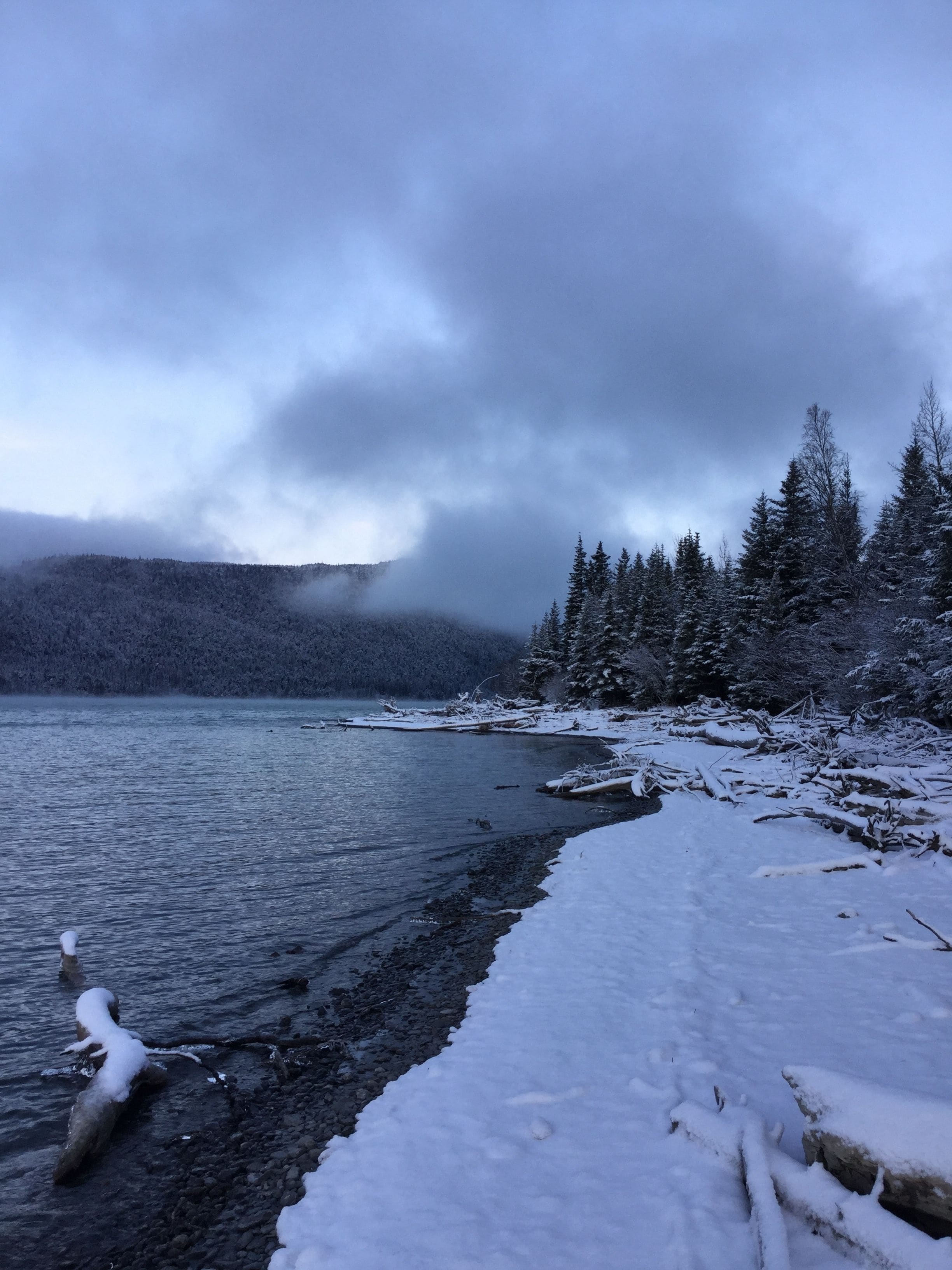 Paesaggio invernale su un lago, con acque limpide e alberi circostanti.