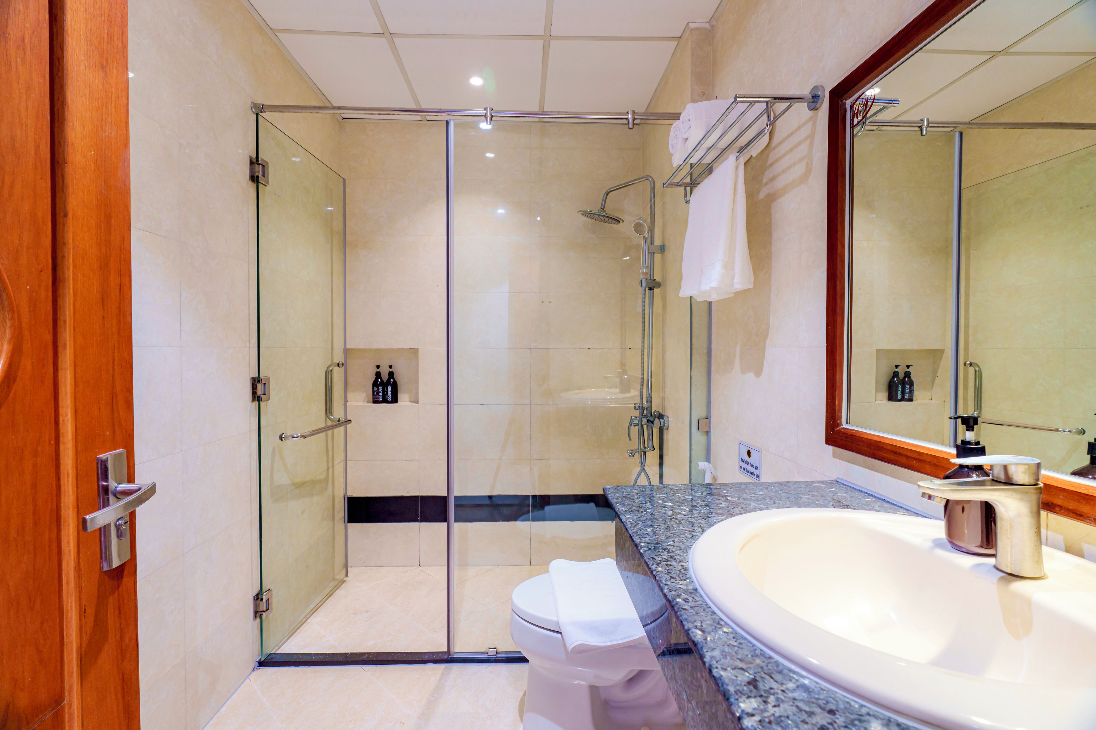 A modern bathroom with a glass-enclosed shower, a toilet, and a sink with a large mirror.