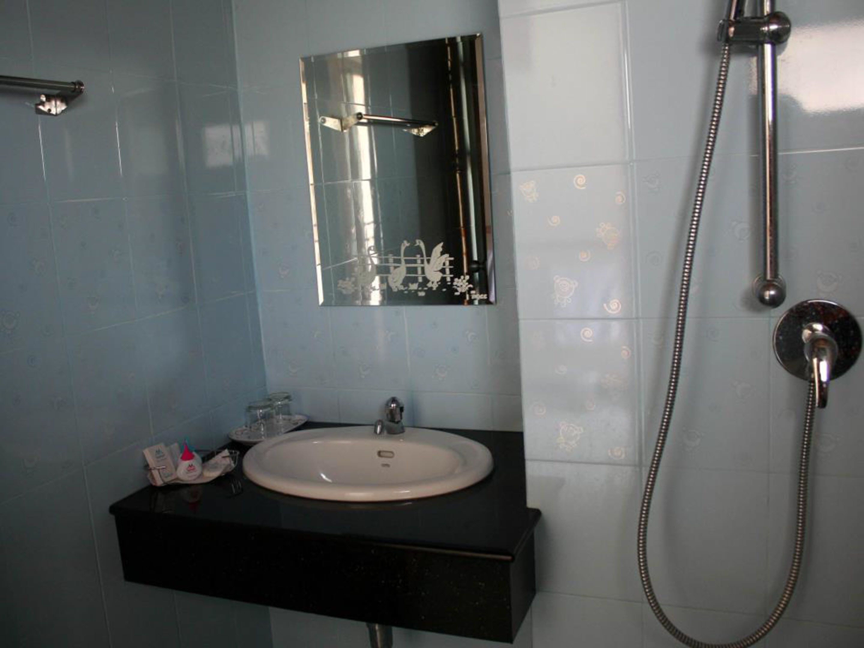 shower, free toiletries, hair dryer, slippers