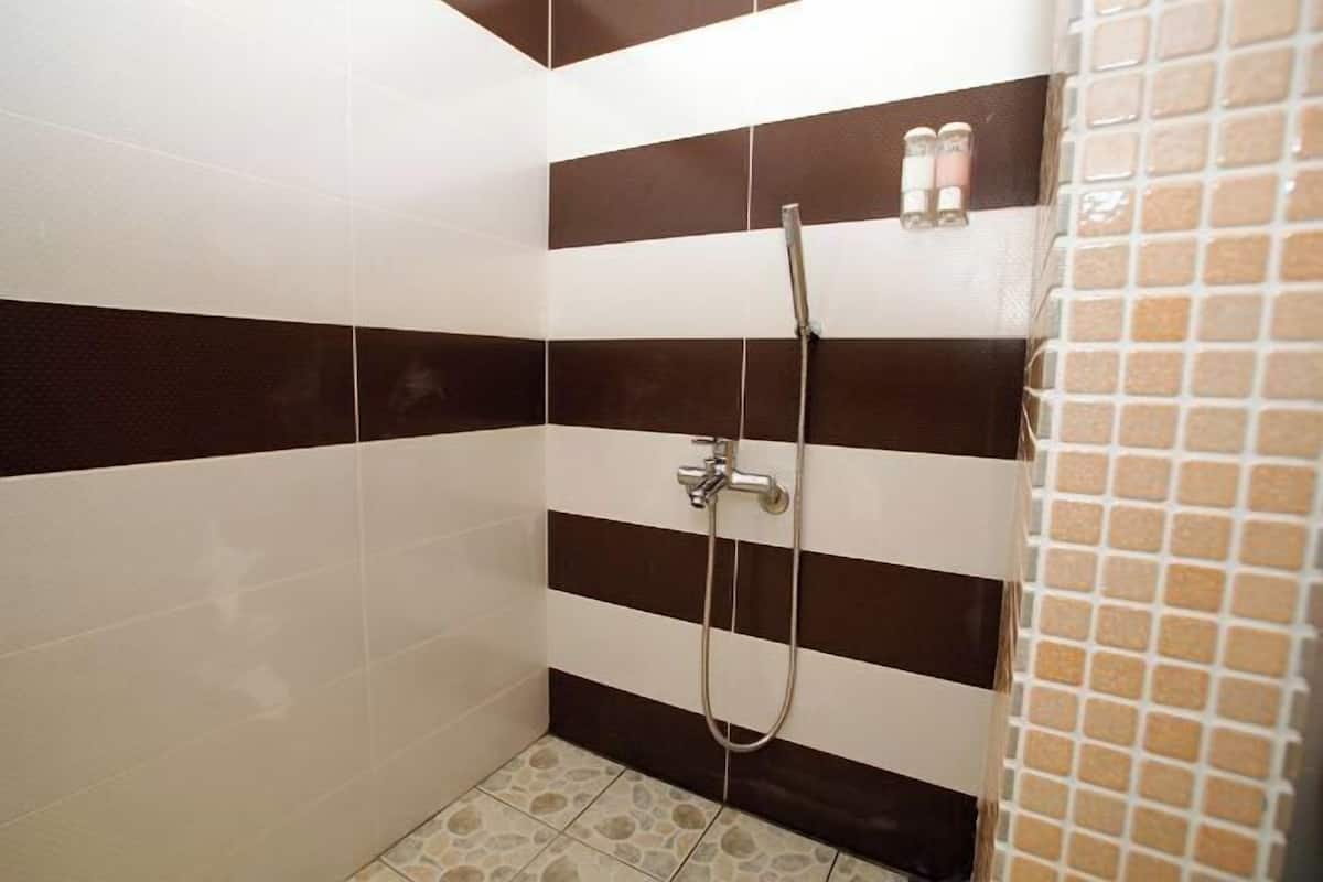 Badkamer | Een douche, gratis toiletartikelen, een haardroger, pantoffels