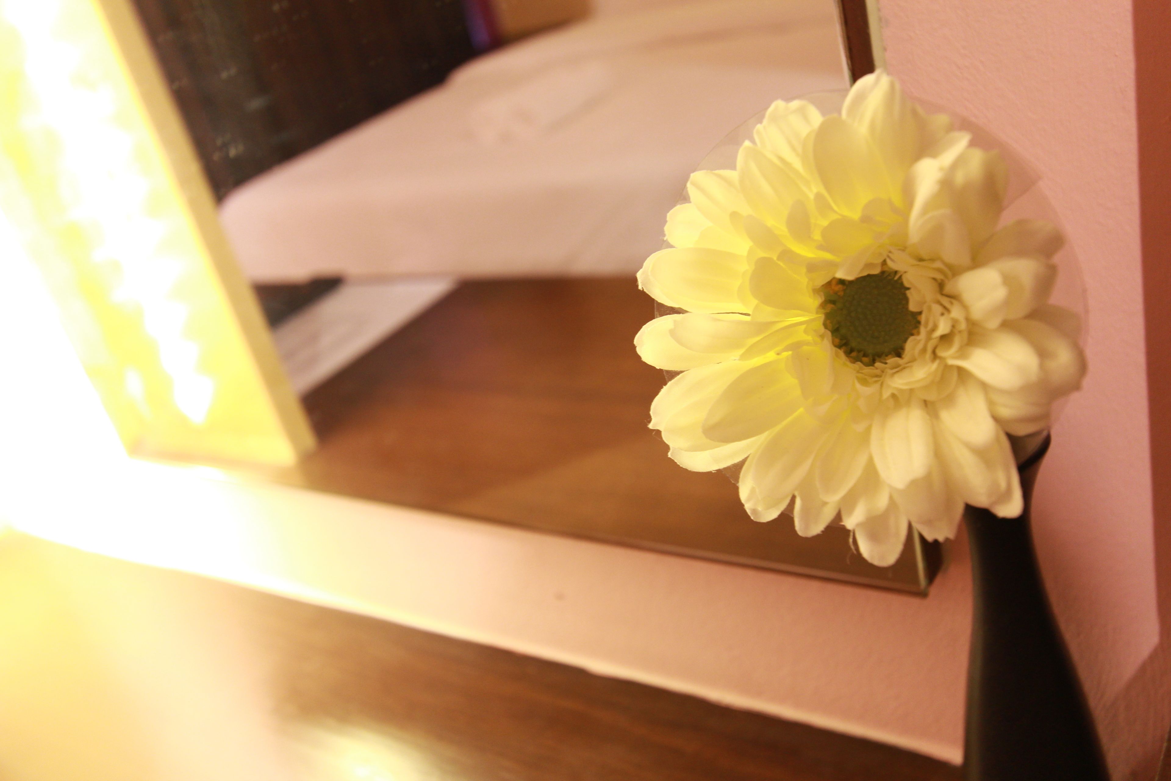 A white flower in a vase on a wooden surface.