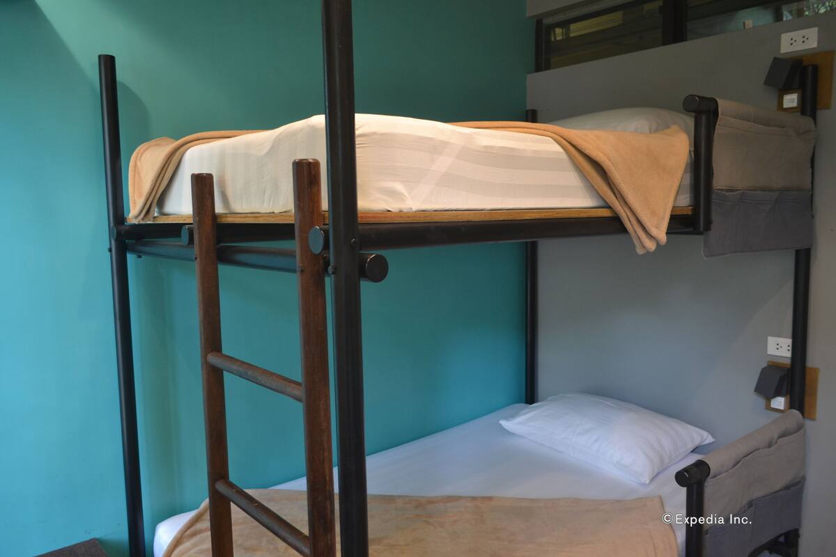 A bunk bed with a ladder, a pillow, and a blanket.