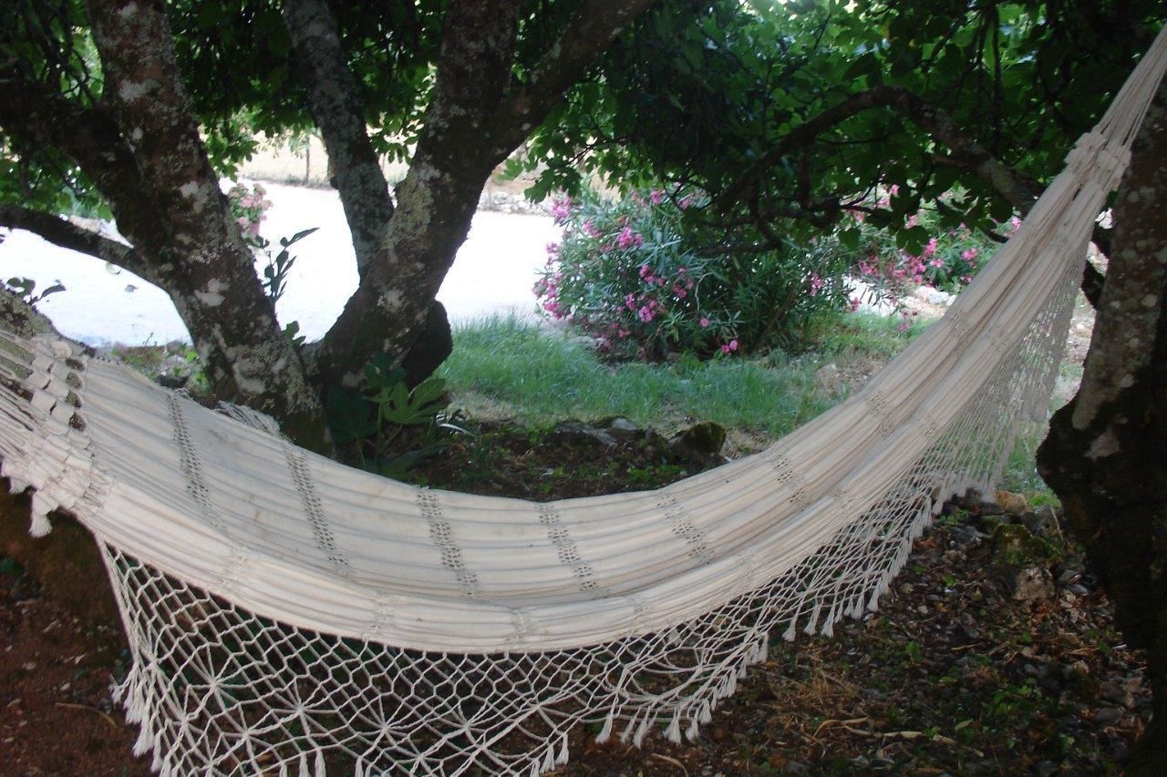 A hammock between trees in a natural setting.