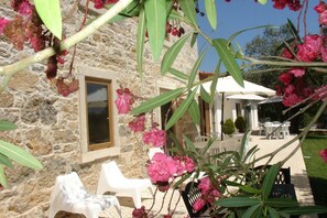 Terrace/patio - Otium Country House (Ansiao)