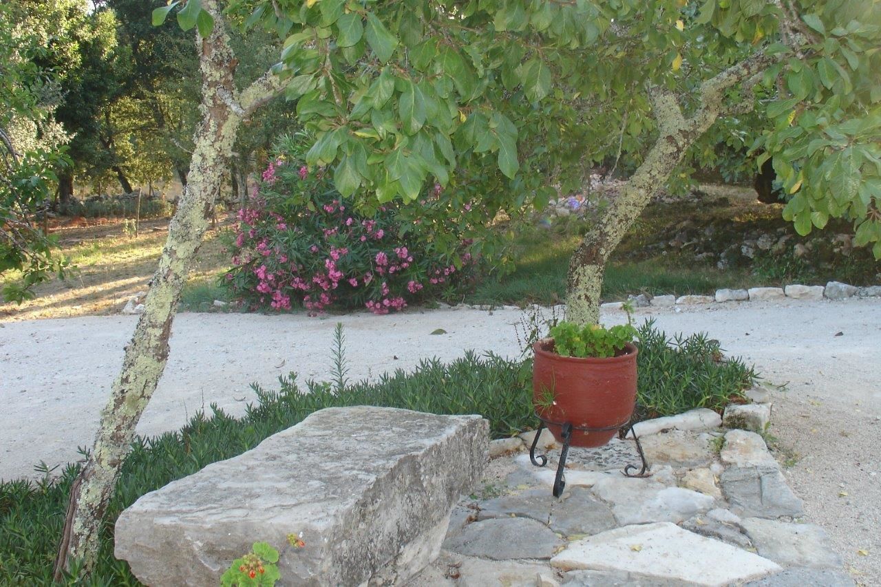 Un jardín con un árbol, un banco de piedra y una planta en maceta.