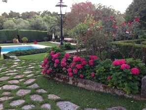 Outdoor pool, sun loungers - Otium Country House (Ansiao)