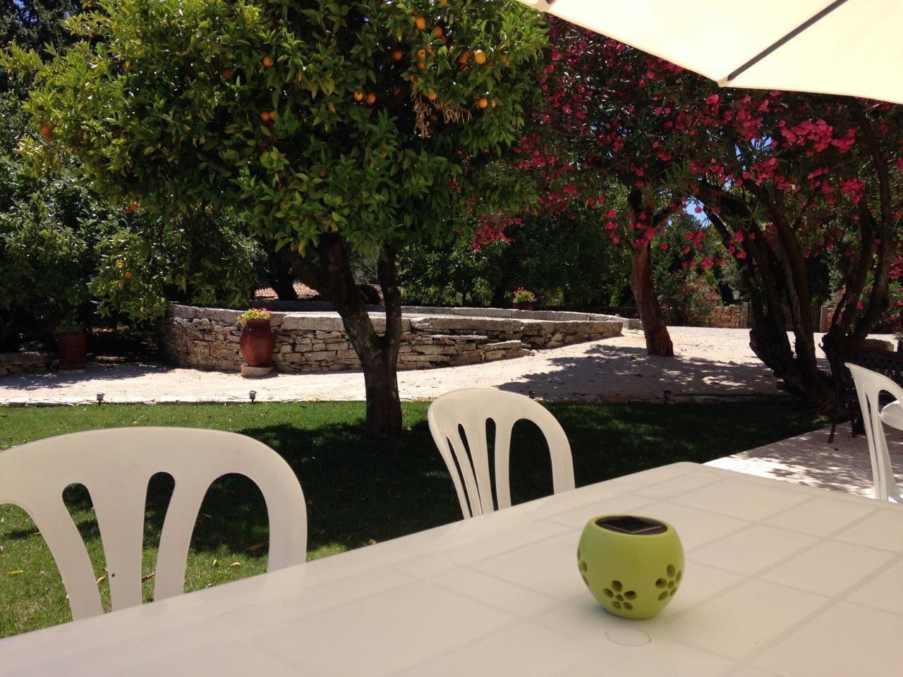 Eine Außenpatio mit weißen Stühlen und einem Tisch, umgeben von üppigem Grün und blühenden Bäumen.