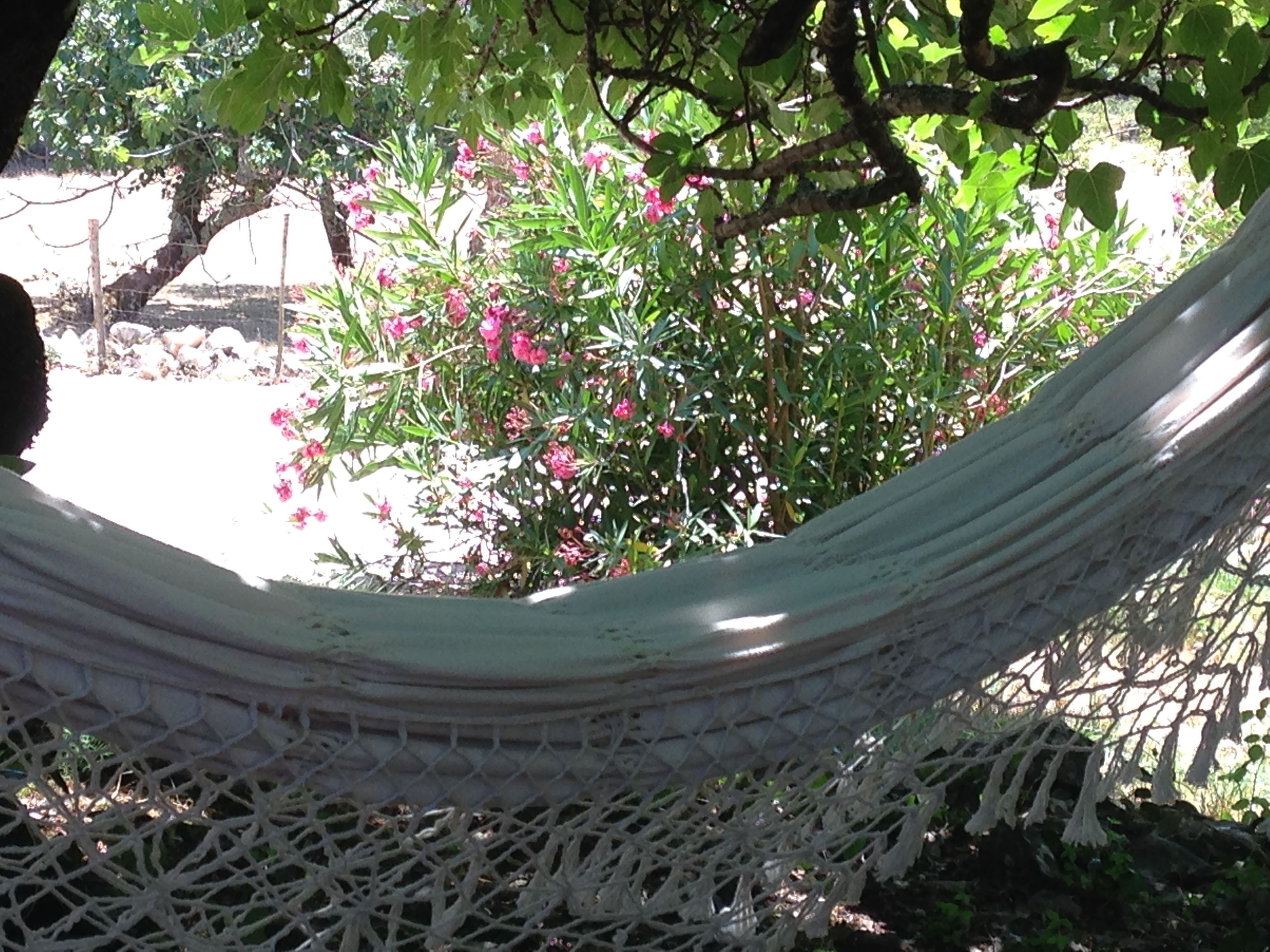 Una hamaca en un jardín con un árbol y flores rosadas.
