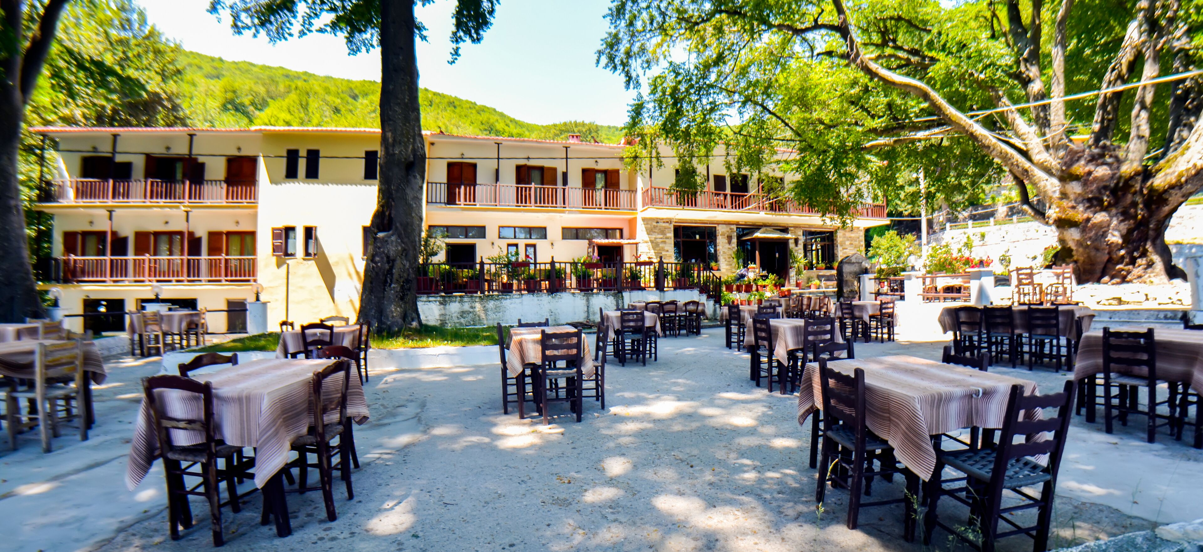 供应早餐、午餐和晚餐，希腊菜