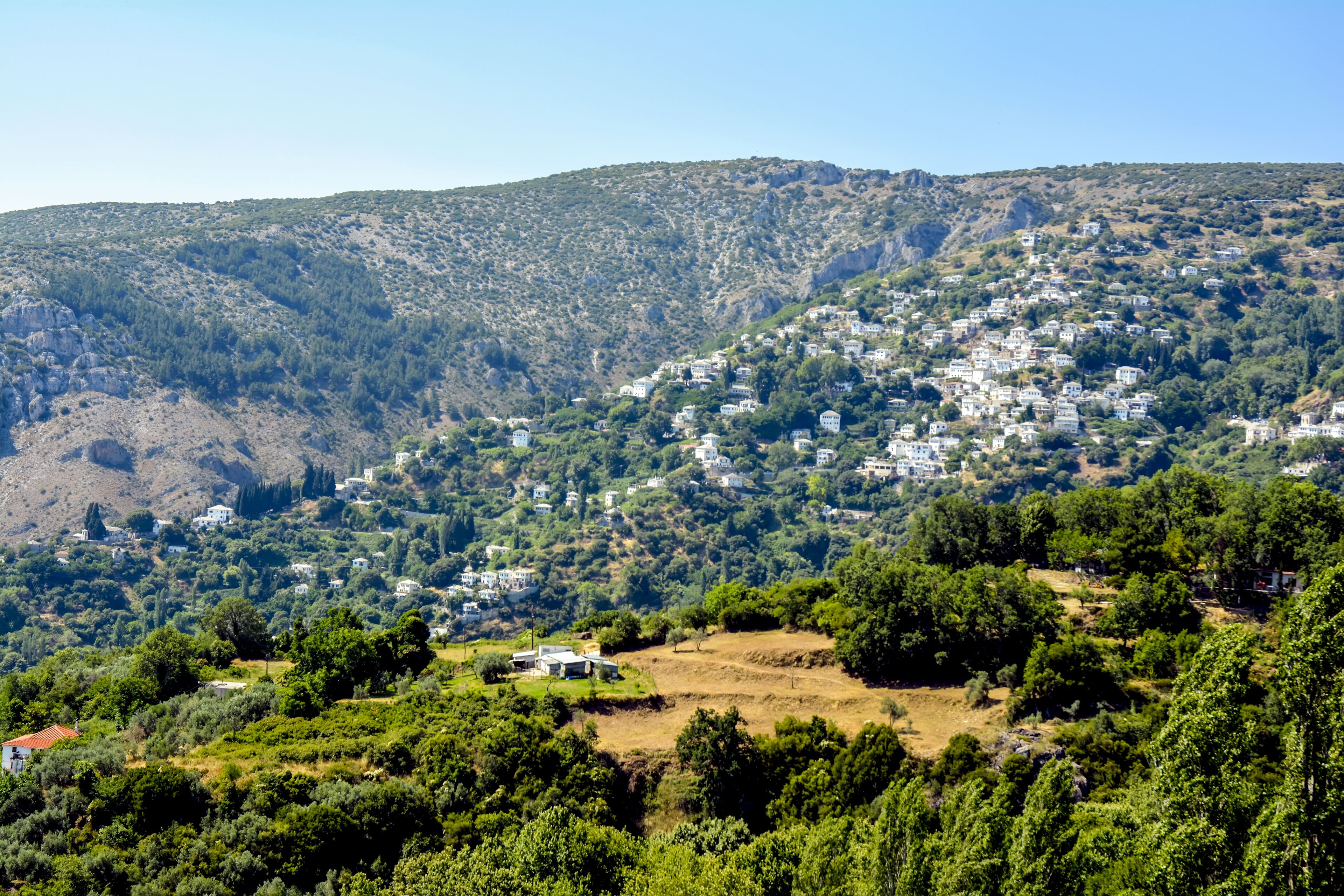 Photo - Hotel Hani Zisi