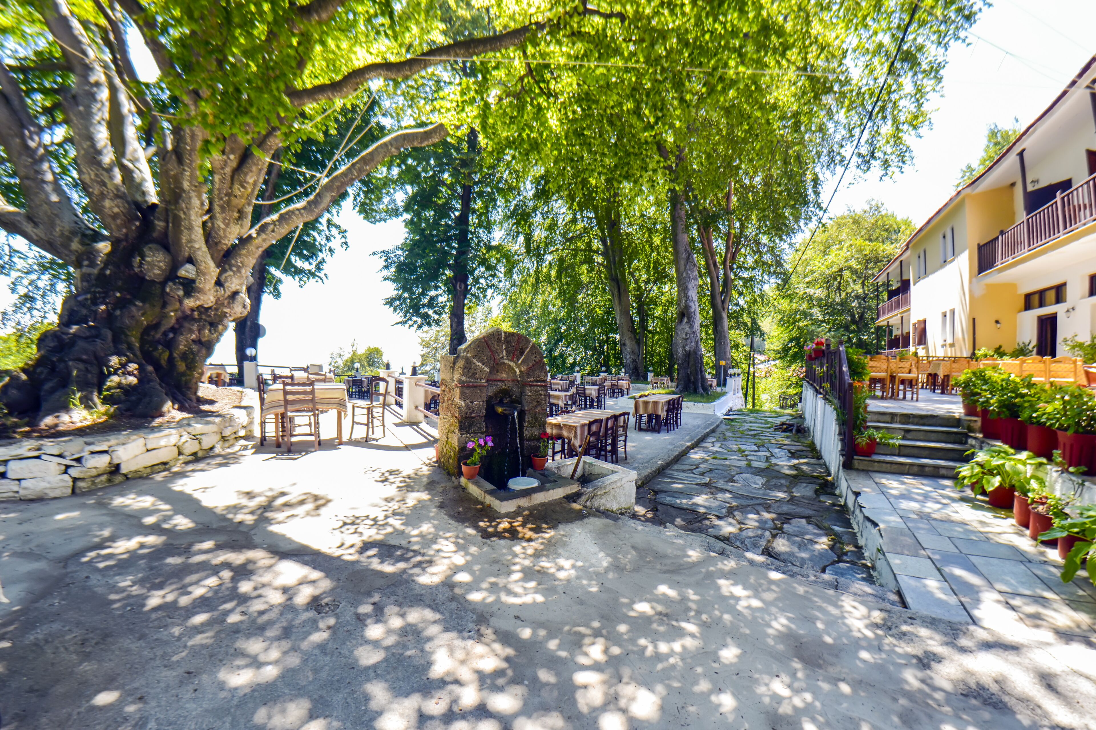 Photo - Hotel Hani Zisi