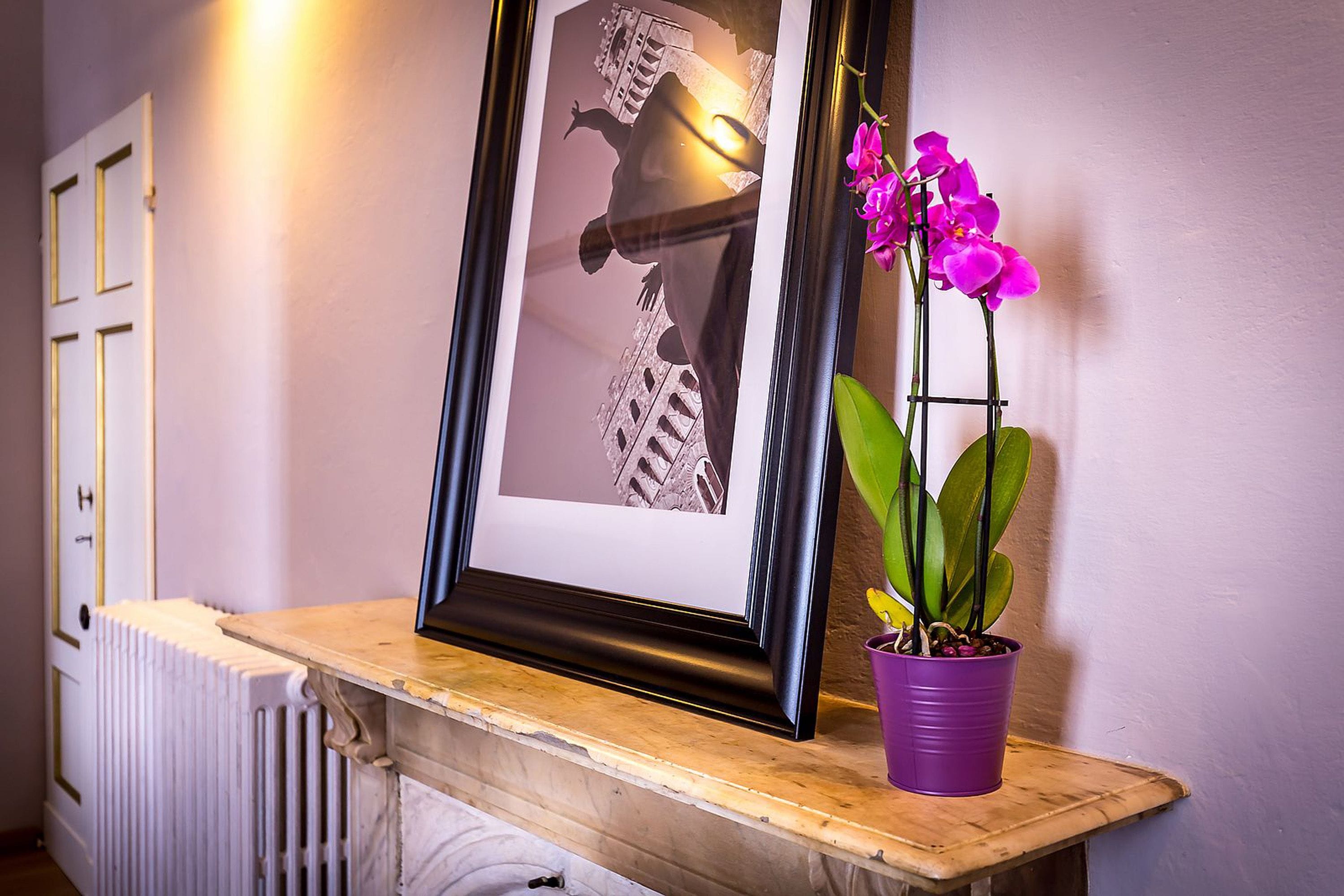 A framed photograph on a shelf, a potted orchid, and a radiator.
