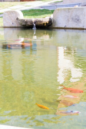 施設からの眺望