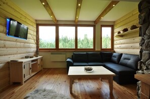 Apartment, 1 Bedroom (Przy Dolinie 1) | Living room | Flat-screen TV