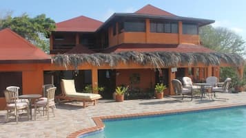 Relax by the pool surrounded by lush greenery and comfortable lounge seating.