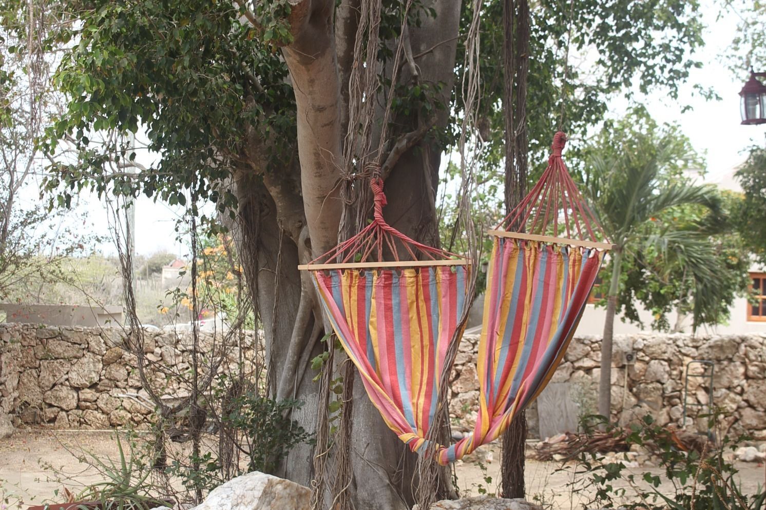 Foto - Fuego Mio Bed & Breakfast