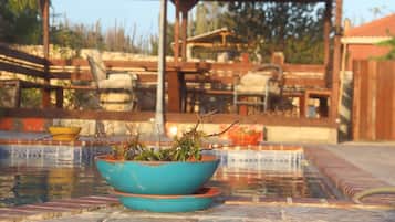 Outdoor pool, sun loungers