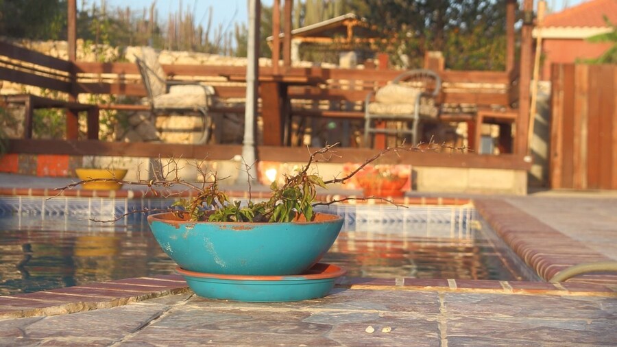 Fuego Mio Bed & Breakfast