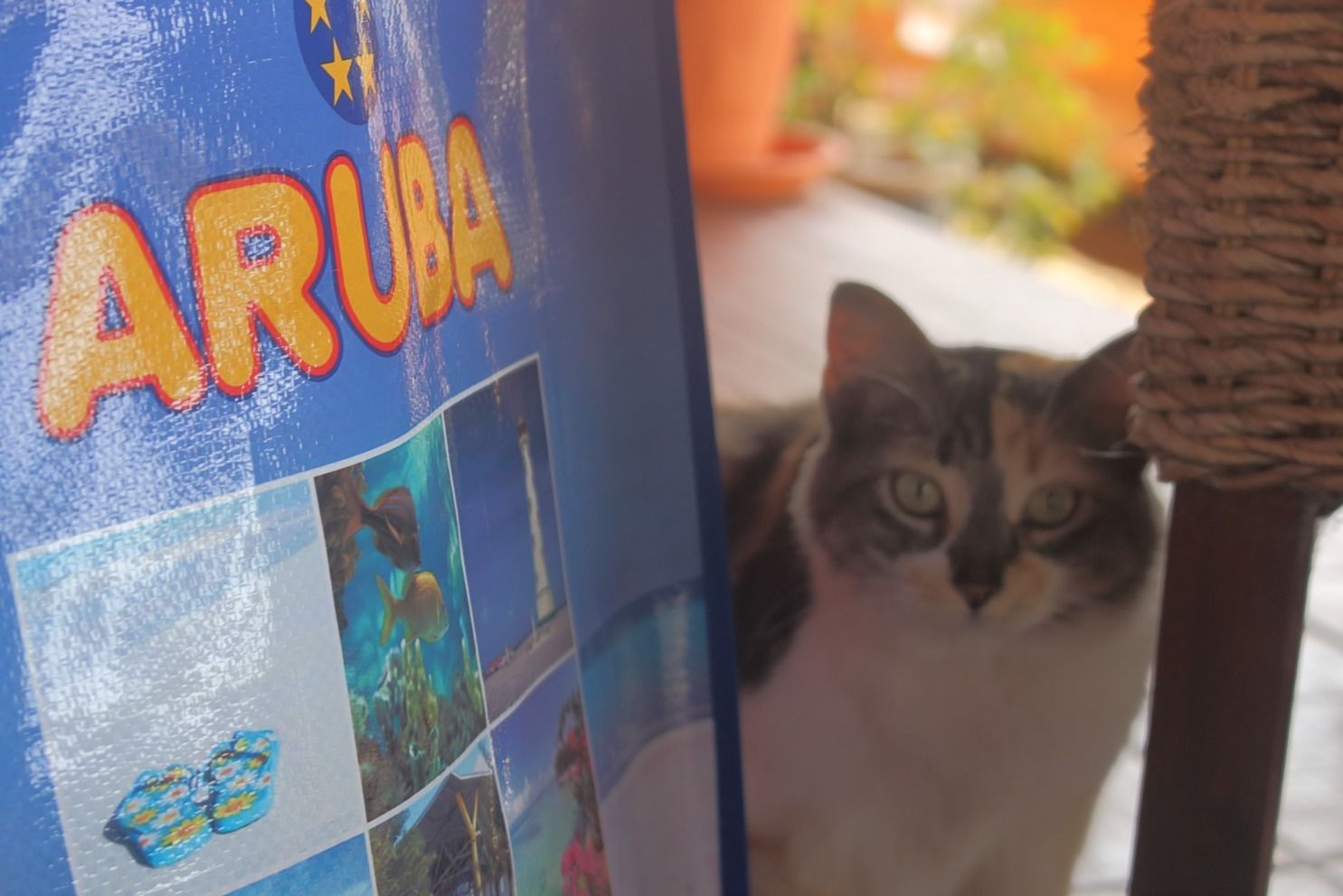 Foto - Fuego Mio Bed & Breakfast