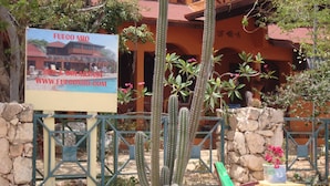 Señal para Fuego Mio Bed & Breakfast, con un cactus y un muro de piedra.