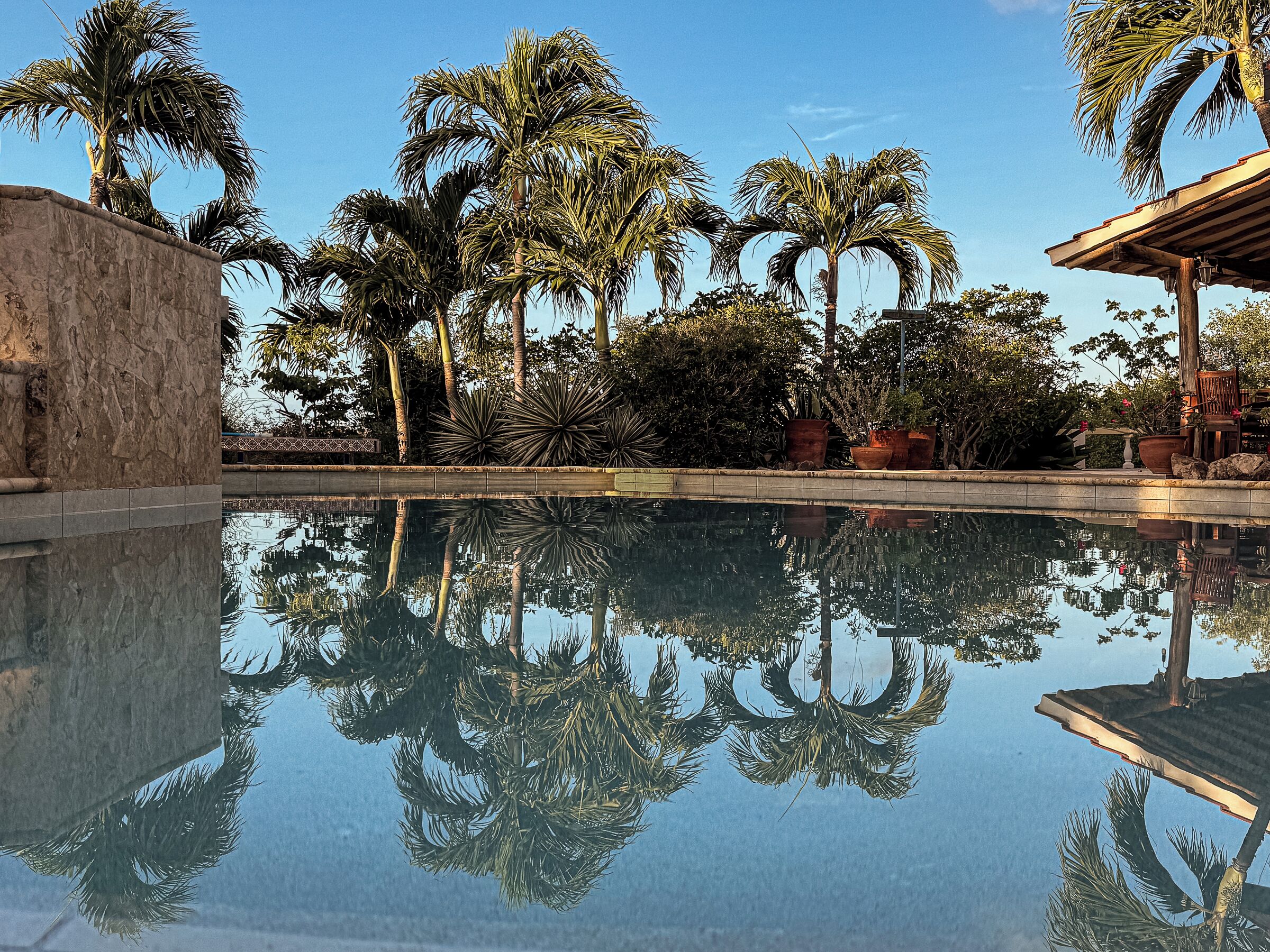 Outdoor pool, pool loungers