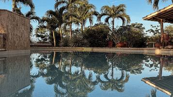 Outdoor pool, pool loungers