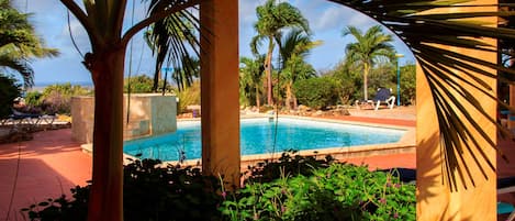 Piscine extérieure, chaises longues