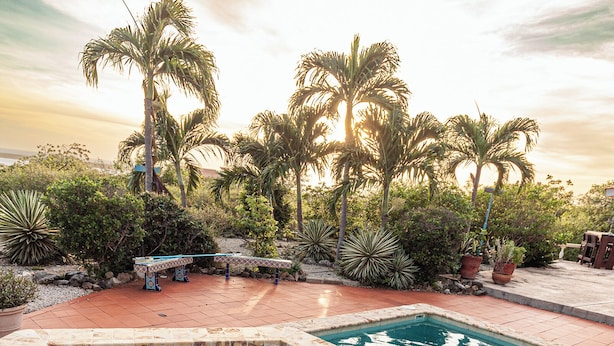 A swimming pool with a circular hot tub, surrounded by palm trees and a patio area. - Goood Resort (Kralendijk)