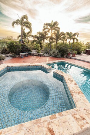 A swimming pool with a circular hot tub, surrounded by palm trees and a patio area. - Goood Resort (Kralendijk)