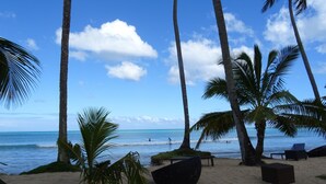A beach with palm trees, a sandy shore, and a clear blue sky. - Cosón Bay (Las Terrenas)