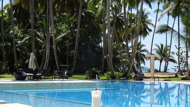 Une piscine à l’eau d’un bleu cristallin, entourée de palmiers et de chaises longues.