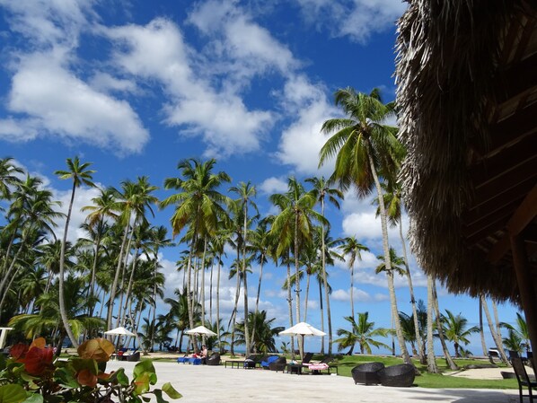 Exterior - Cosón Bay (Las Terrenas)