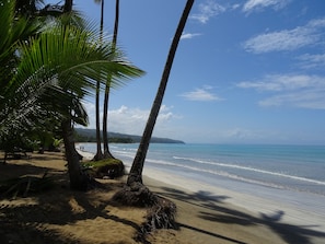 บนชายหาด