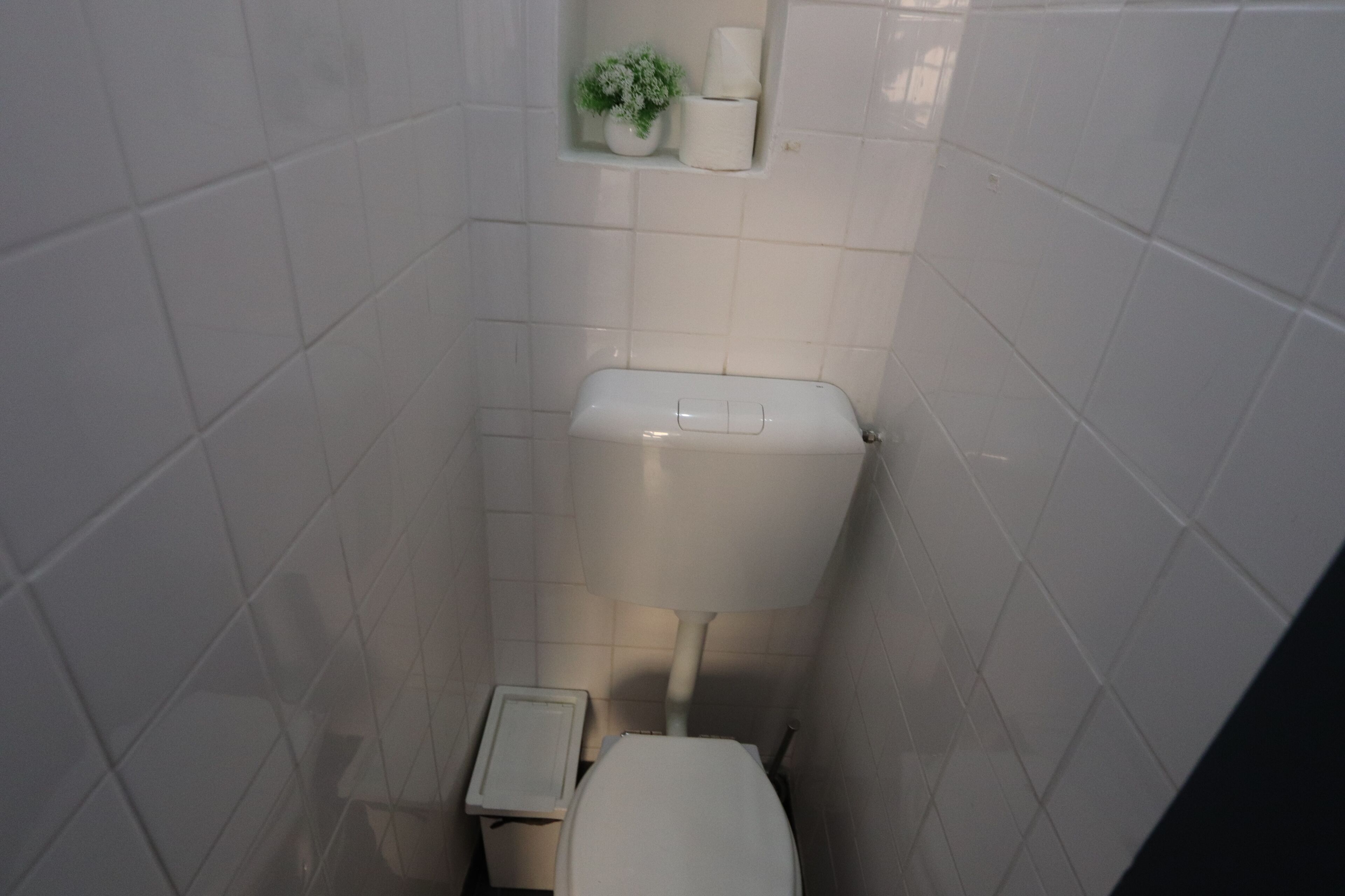 Et lille, smalt badeværelse med hvide fliser, et toilet, en lille hylde med en potteplante og en toiletpapirholder.