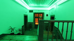 A hallway with a staircase, wooden flooring, and potted plants. - Welcome Guest House - Hostel (Lisbon)