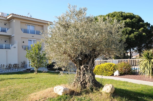 Garden - Hôtel Bleu Azur (Argelès-sur-Mer)