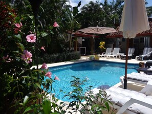A swimming pool surrounded by lush greenery and white lounge chairs. - Villa Botero By Casa Mojito B&B (Rio Hato)