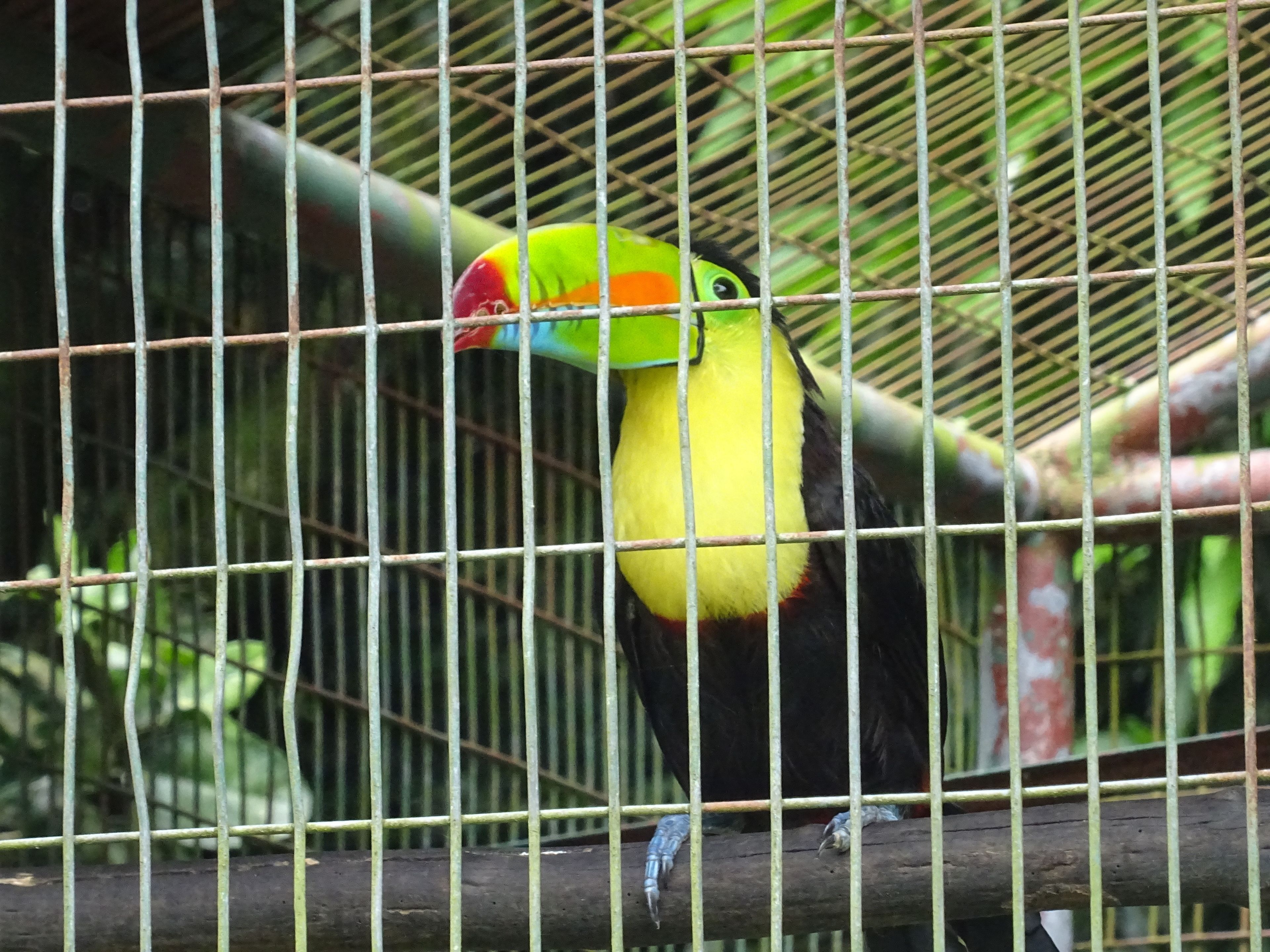 Severdighet