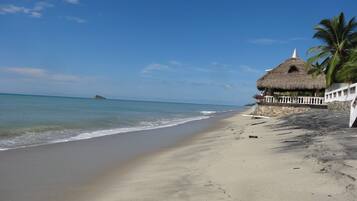 A beach with a thatched-roof structure, a white fence, and a palm tree.