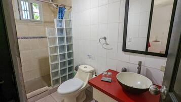 Casa de banho com sanita, lavatório, espelho e área de duche.