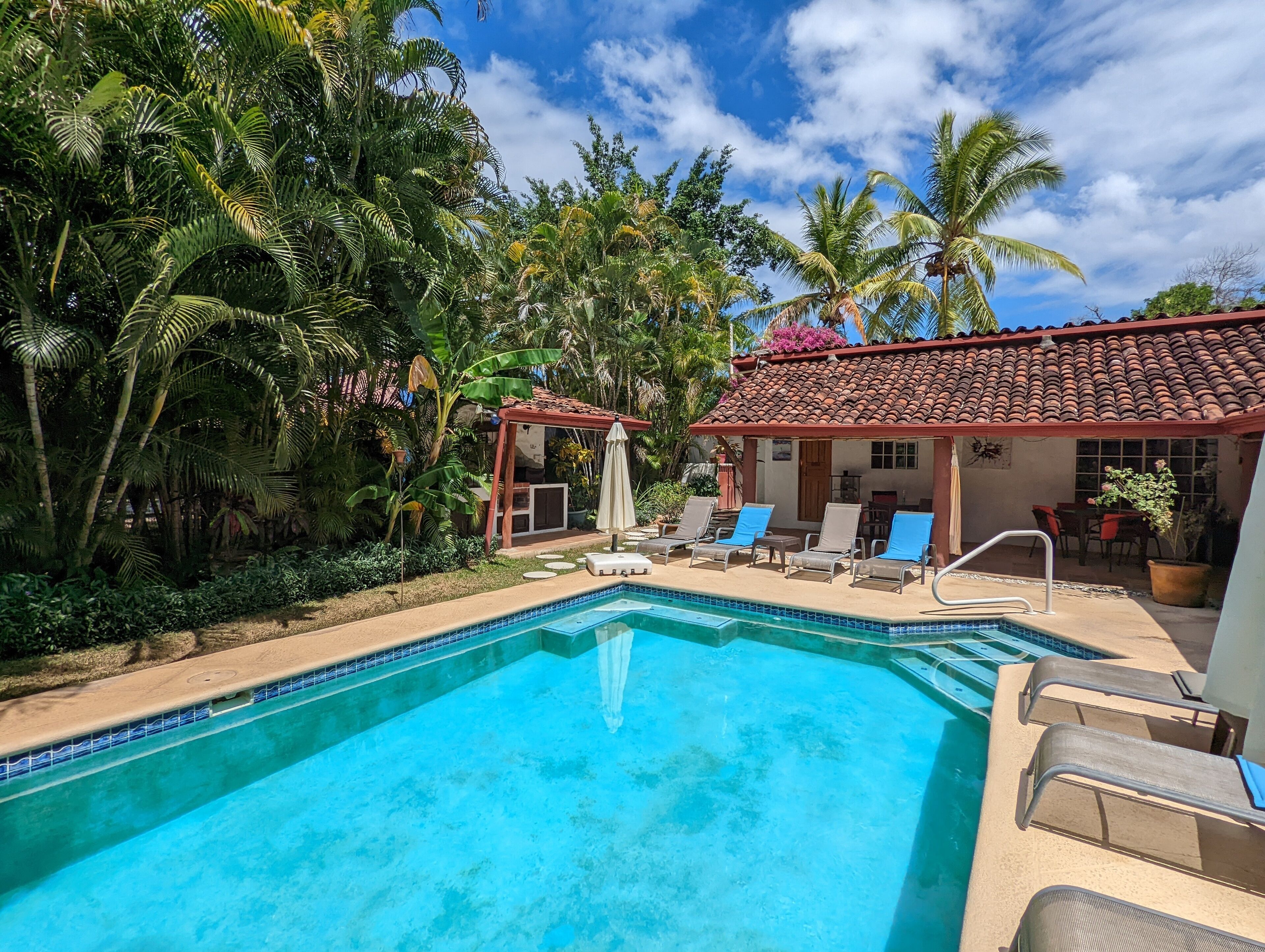 A swimming pool with lounge chairs and a covered seating area surrounded by tropical vegetation.