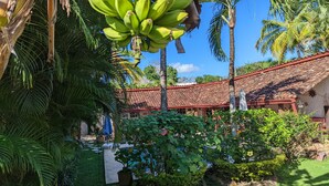 A courtyard with a tiled roof, palm trees, and a pathway leading to a building. - Villa Botero By Casa Mojito B&B (Rio Hato)
