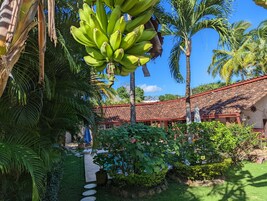A courtyard with a tiled roof, palm trees, and a pathway leading to a building.