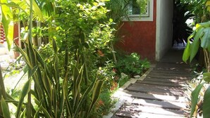 Property grounds - Elements of the Island (Isla Mujeres)