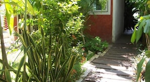 Property grounds - Elements of the Island (Isla Mujeres)